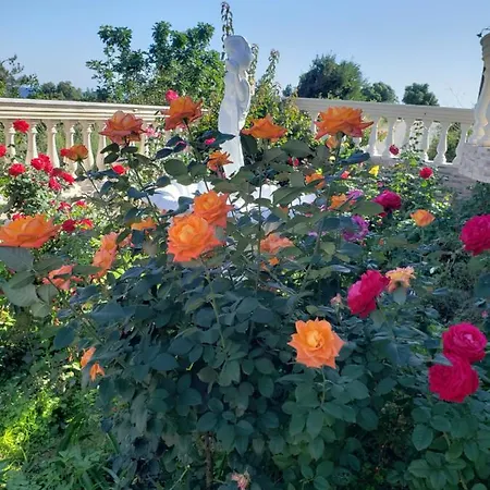 G And A House Poros (Kefalonia)