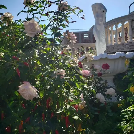 G And A House Apartment Poros (Kefalonia)