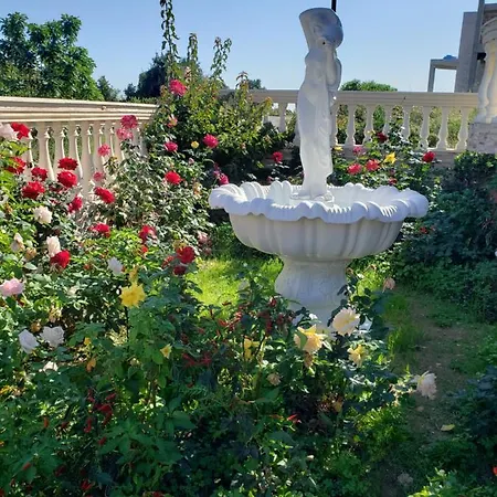 G And A House Apartment *